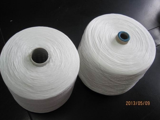 30s/2 Polyester Ring Spun Yarn